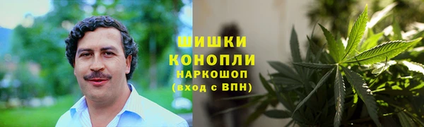 мет Пересвет