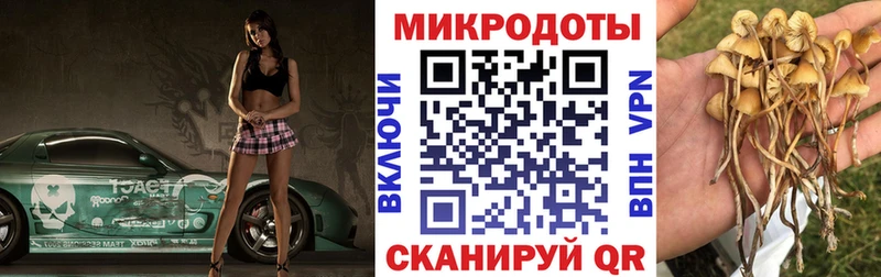 Псилоцибиновые грибы мухоморы  OMG как войти  Артёмовский  цены наркотик 